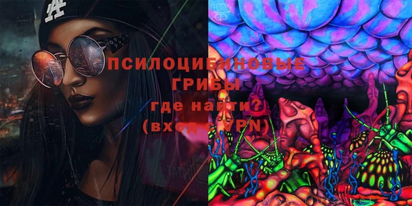 PSILOCYBIN Заволжск