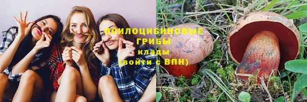 метадон Коряжма
